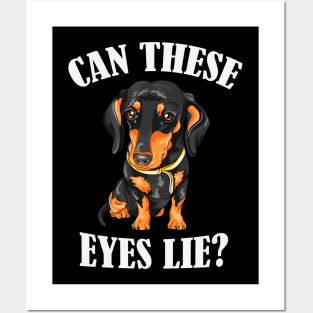 Funny Dachshund Dog Posters and Art